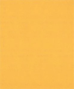 Bosch Bleu Accessoires Feuille Abrasive 230 X 280 Mm 2608900964 Papier Abrasif Manuel Expert C470 230 X 280 Mm, K220